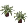 12 In. Artificial H Green Silver Queen Silk Plant (Set Of 2) 2 12 In. Artificial H Green Silver Queen Silk Plant (Set Of 2) -Artificial nearly natural artificial tropical plants 6694 s2 64 1000