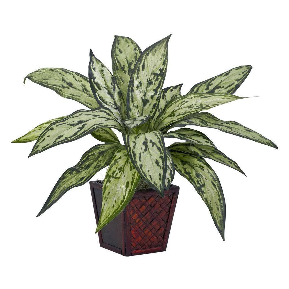 12 In. Artificial H Green Silver Queen Silk Plant (Set Of 2) 4 12 In. Artificial H Green Silver Queen Silk Plant (Set Of 2) - Image 2