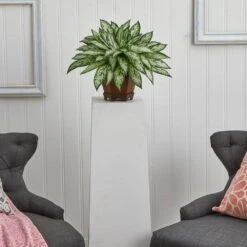 14 In. Artificial H Green Triple Silver Queen With Hexagon Vase Silk Plant 9 14 In. Artificial H Green Triple Silver Queen With Hexagon Vase Silk Plant -Artificial nearly natural artificial tropical plants 6696 31 1000