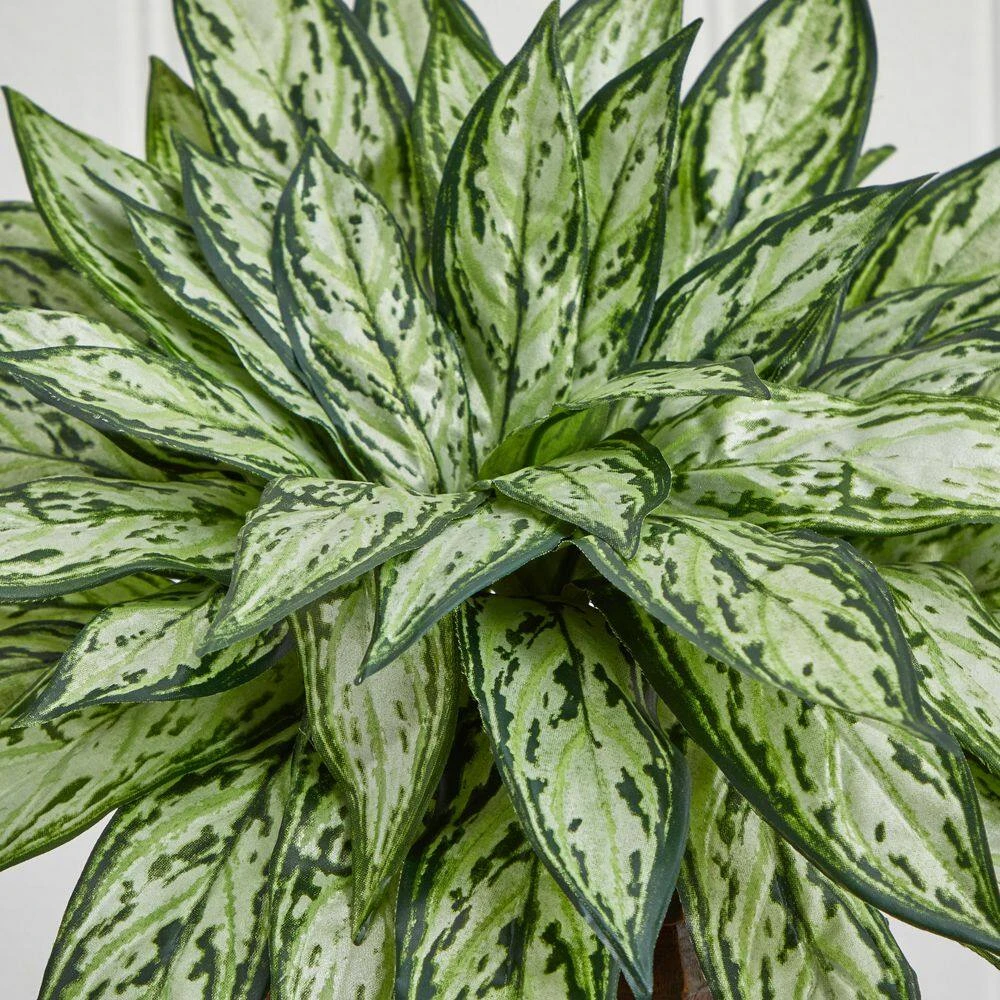 14 In. Artificial H Green Triple Silver Queen With Hexagon Vase Silk Plant 5 14 In. Artificial H Green Triple Silver Queen With Hexagon Vase Silk Plant - Image 3