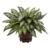 14 In. Artificial H Green Triple Silver Queen With Hexagon Vase Silk Plant 2 14 In. Artificial H Green Triple Silver Queen With Hexagon Vase Silk Plant -Artificial nearly natural artificial tropical plants 6696 64 1000
