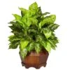 24 In. Artificial H Green Variegated Dieffenbachia With Large Hexagon Silk Plant 1 24 In. Artificial H Green Variegated Dieffenbachia With Large Hexagon Silk Plant -Artificial nearly natural artificial tropical plants 6709 64 1000