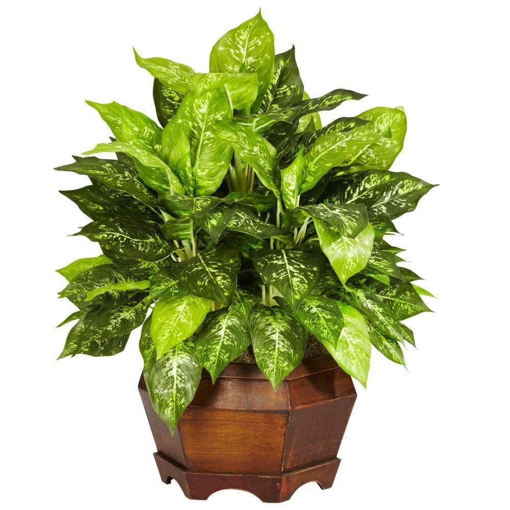 24 In. Artificial H Green Variegated Dieffenbachia With Large Hexagon Silk Plant 3 24 In. Artificial H Green Variegated Dieffenbachia With Large Hexagon Silk Plant
