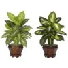 20.5 In. Artificial Tabletop H Green Dieffenbachia With Wood Vase Silk Plant (Set Of 2) -Artificial nearly natural artificial tropical plants 6712 as s2 64 1000