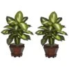 20.5 In. Artificial H Green Dieffenbachia With Wood Vase Silk Plant (Set Of 2) 2 20.5 In. Artificial H Green Dieffenbachia With Wood Vase Silk Plant (Set Of 2) -Artificial nearly natural artificial tropical plants 6712 gd s2 64 1000