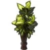 Artificial Golden Dieffenbachia With Bamboo Planter 1 Artificial Golden Dieffenbachia With Bamboo Planter -Artificial nearly natural artificial tropical plants 6724 64 1000