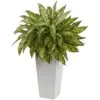 Artificial Aglaonema With White Decorative Planter 1 Artificial Aglaonema With White Decorative Planter -Artificial nearly natural artificial tropical plants 6836 64 1000