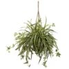 20 In. Artificial Spider Plant Hanging Basket 1 20 In. Artificial Spider Plant Hanging Basket -Artificial nearly natural artificial tropical plants 6846 64 1000