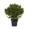 28 In. Artificial UV Resistant Indoor/Outdoor Peperomia Plant -Artificial nearly natural artificial tropical plants 6860 64 1000