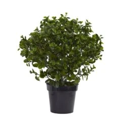 28 In. Artificial UV Resistant Indoor/Outdoor Peperomia Plant