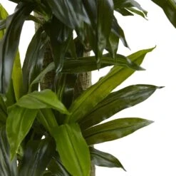 Indoor Artificial Corn Stalk Dracaena With Black Wash Planter 8 Indoor Artificial Corn Stalk Dracaena With Black Wash Planter -Artificial nearly natural artificial tropical plants 6869 4f 1000