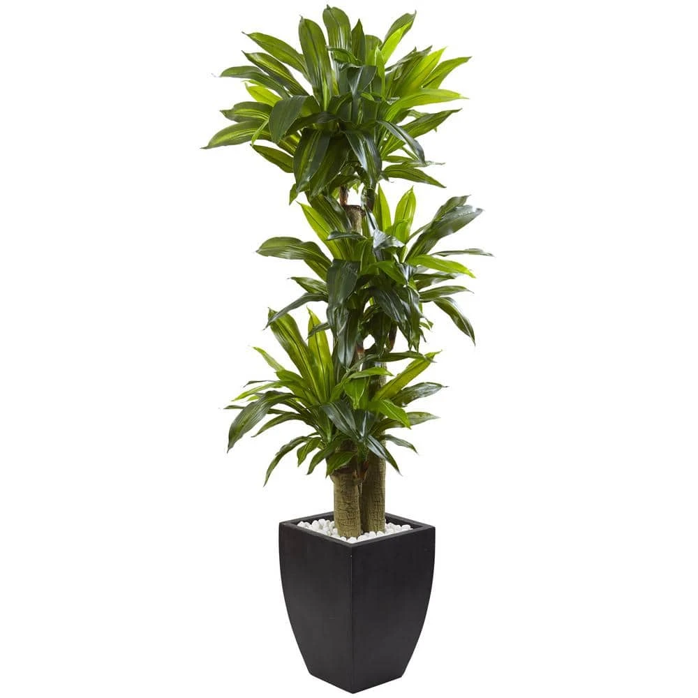 Indoor Artificial Corn Stalk Dracaena With Black Wash Planter 3 Indoor Artificial Corn Stalk Dracaena With Black Wash Planter