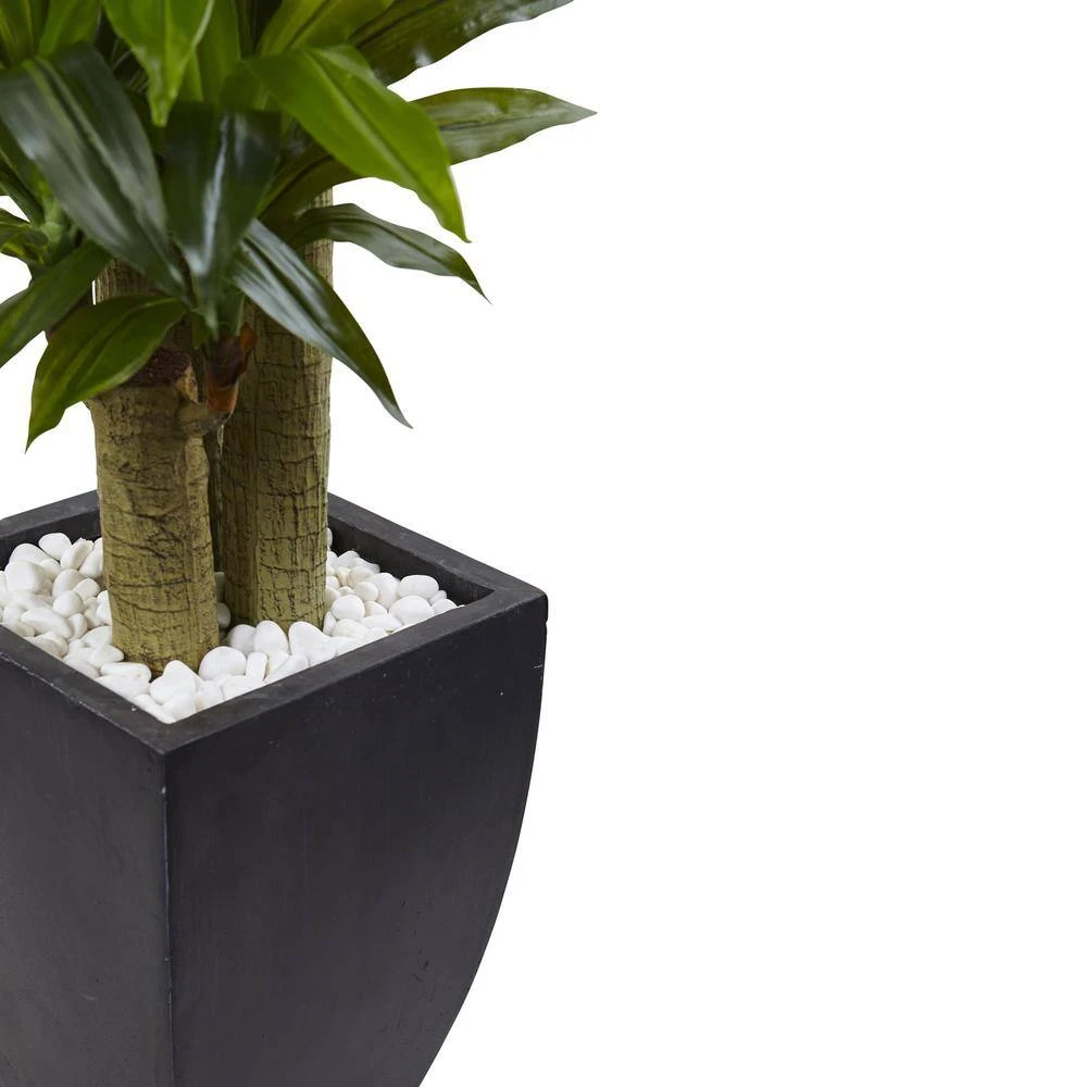 Indoor Artificial Corn Stalk Dracaena With Black Wash Planter 4 Indoor Artificial Corn Stalk Dracaena With Black Wash Planter - Image 2