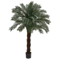 6 Ft. UV Resistant Indoor/Outdoor Cycas Artificial Tree 11 6 Ft. UV Resistant Indoor/Outdoor Cycas Artificial Tree -Artificial nearly natural artificial tropical plants 6936 40 1000