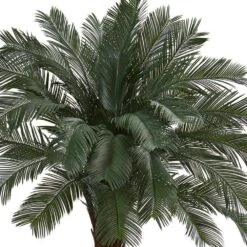 6 Ft. UV Resistant Indoor/Outdoor Cycas Artificial Tree 17 6 Ft. UV Resistant Indoor/Outdoor Cycas Artificial Tree -Artificial nearly natural artificial tropical plants 6936 fa 1000