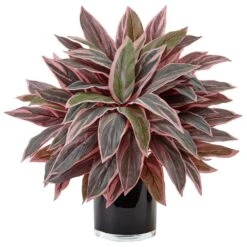 Indoor Caladium Artificial Plant In Black Glossy Planter