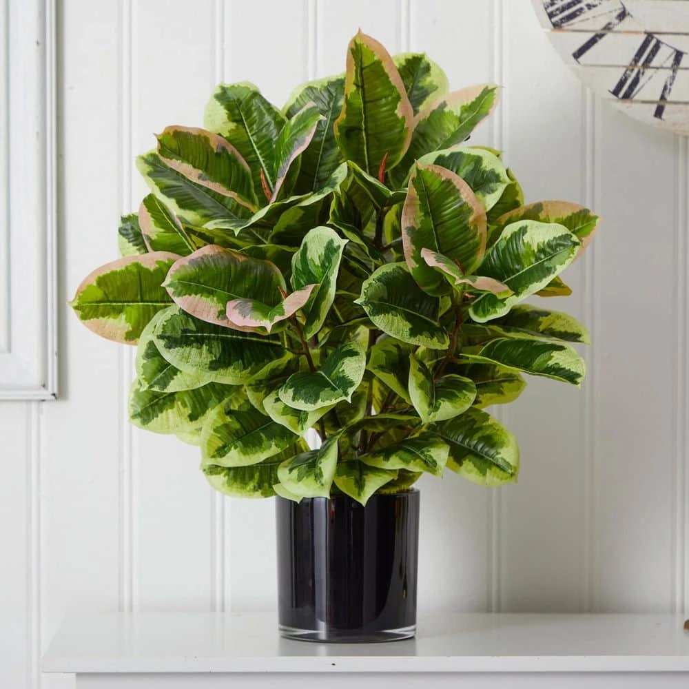 Indoor Artificial Rubber Plant In Glossy Cylinder (Real Touch) 7 Indoor Artificial Rubber Plant In Glossy Cylinder (Real Touch) - Image 5