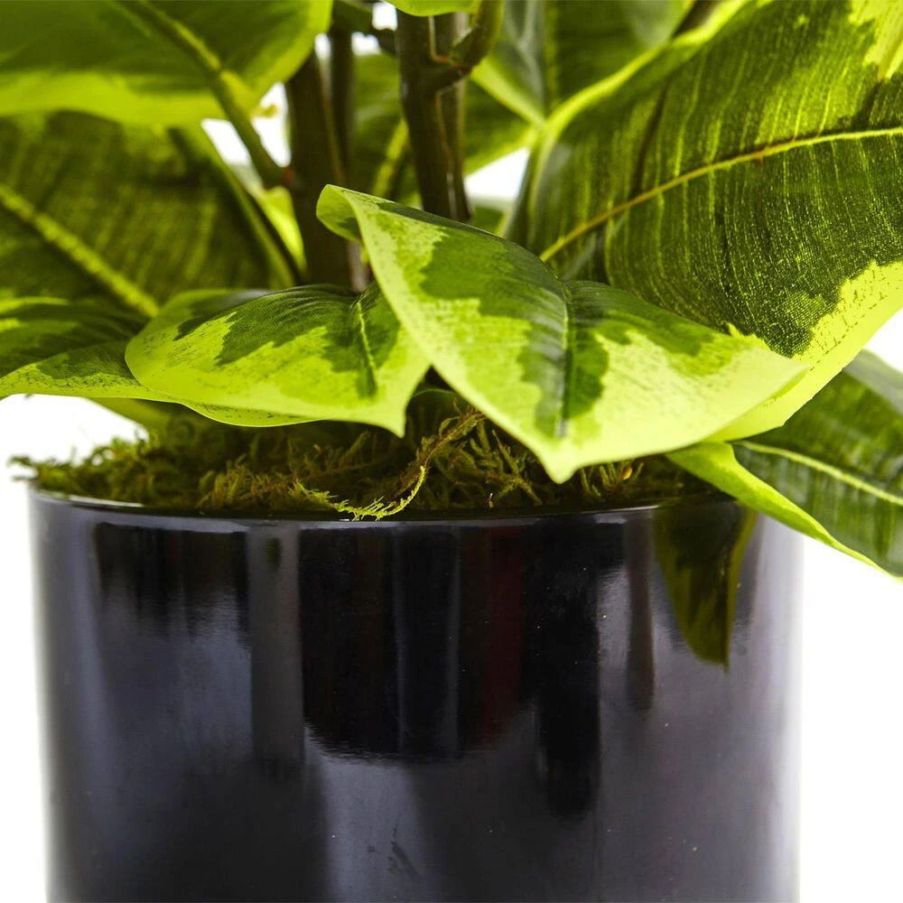 Indoor Artificial Rubber Plant In Glossy Cylinder (Real Touch) 5 Indoor Artificial Rubber Plant In Glossy Cylinder (Real Touch) - Image 3
