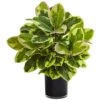 Indoor Artificial Rubber Plant In Glossy Cylinder (Real Touch) 2 Indoor Artificial Rubber Plant In Glossy Cylinder (Real Touch) -Artificial nearly natural artificial tropical plants 6952 64 1000