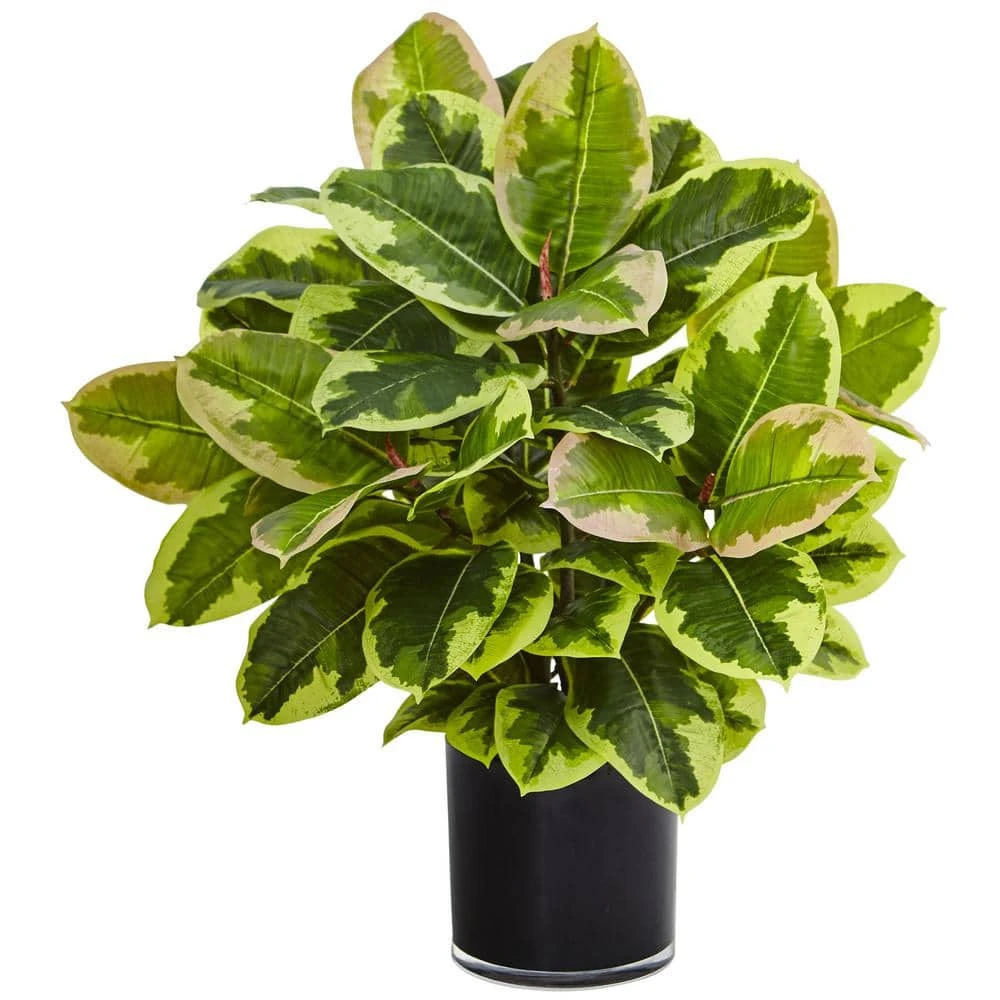 Indoor Artificial Rubber Plant In Glossy Cylinder (Real Touch) 3 Indoor Artificial Rubber Plant In Glossy Cylinder (Real Touch)