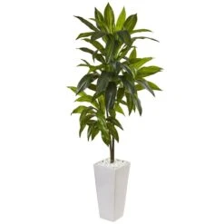 Indoor Dracaena Artificial Plant In White Tower Planter 5 Indoor Dracaena Artificial Plant In White Tower Planter -Artificial nearly natural artificial tropical plants 6969 31 1000