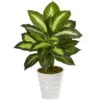 Indoor Dieffenbachia Artificial Plant In Swirl Planter -Artificial nearly natural artificial tropical plants 6973 64 1000