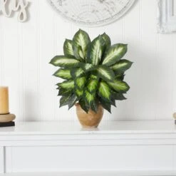 Indoor Dieffenbachia Artificial Plant In Ceramic Planter 11 Indoor Dieffenbachia Artificial Plant In Ceramic Planter -Artificial nearly natural artificial tropical plants 8051 1f 1000