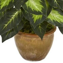 Indoor Dieffenbachia Artificial Plant In Ceramic Planter 10 Indoor Dieffenbachia Artificial Plant In Ceramic Planter -Artificial nearly natural artificial tropical plants 8051 4f 1000