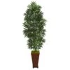 Indoor 5.5 Ft. Bamboo Palm Artificial Plant In Decorative Planter 1 Indoor 5.5 Ft. Bamboo Palm Artificial Plant In Decorative Planter -Artificial nearly natural artificial tropical plants 8082 64 1000