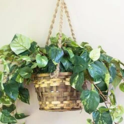 Artificial Pothos Hanging Basket Silk Plant -Artificial nearly natural artificial vines 6517 1f 1000