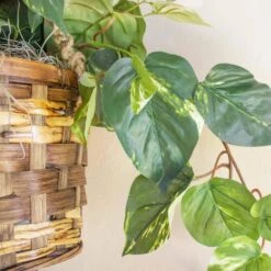 Artificial Pothos Hanging Basket Silk Plant -Artificial nearly natural artificial vines 6517 4f 1000