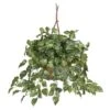 Artificial Pothos Hanging Basket Silk Plant 1 Artificial Pothos Hanging Basket Silk Plant -Artificial nearly natural artificial vines 6517 64 1000