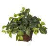 17 In. Artificial H Green Pothos With Coiled Rope Planter Silk Plant 1 17 In. Artificial H Green Pothos With Coiled Rope Planter Silk Plant -Artificial nearly natural artificial vines 6704 64 1000
