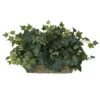 Indoor 12 In. ArtificialH Green Ivy Ledge Plant (Set On Foam) Silk Plant 1 Indoor 12 In. ArtificialH Green Ivy Ledge Plant (Set On Foam) Silk Plant -Artificial nearly natural artificial vines 6707 64 1000