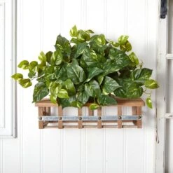 Indoor 15 In. H Artificial Green Pothos Ledge Plant (Set On Foam) Silk Plant 19 Indoor 15 In. H Artificial Green Pothos Ledge Plant (Set On Foam) Silk Plant -Artificial nearly natural artificial vines 6708 31 1000