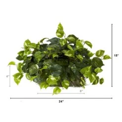 Indoor 15 In. H Artificial Green Pothos Ledge Plant (Set On Foam) Silk Plant 17 Indoor 15 In. H Artificial Green Pothos Ledge Plant (Set On Foam) Silk Plant -Artificial nearly natural artificial vines 6708 44 1000