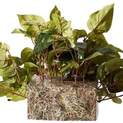 Indoor 15 In. H Artificial Green Pothos Ledge Plant (Set On Foam) Silk Plant 15 Indoor 15 In. H Artificial Green Pothos Ledge Plant (Set On Foam) Silk Plant -Artificial nearly natural artificial vines 6708 4f 1000