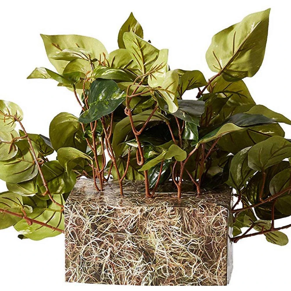 Indoor 15 In. H Artificial Green Pothos Ledge Plant (Set On Foam) Silk Plant 7 Indoor 15 In. H Artificial Green Pothos Ledge Plant (Set On Foam) Silk Plant - Image 5