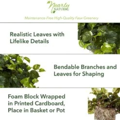 Indoor 15 In. H Artificial Green Pothos Ledge Plant (Set On Foam) Silk Plant 14 Indoor 15 In. H Artificial Green Pothos Ledge Plant (Set On Foam) Silk Plant -Artificial nearly natural artificial vines 6708 c3 1000