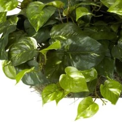 Indoor 15 In. H Artificial Green Pothos Ledge Plant (Set On Foam) Silk Plant 18 Indoor 15 In. H Artificial Green Pothos Ledge Plant (Set On Foam) Silk Plant -Artificial nearly natural artificial vines 6708 fa 1000