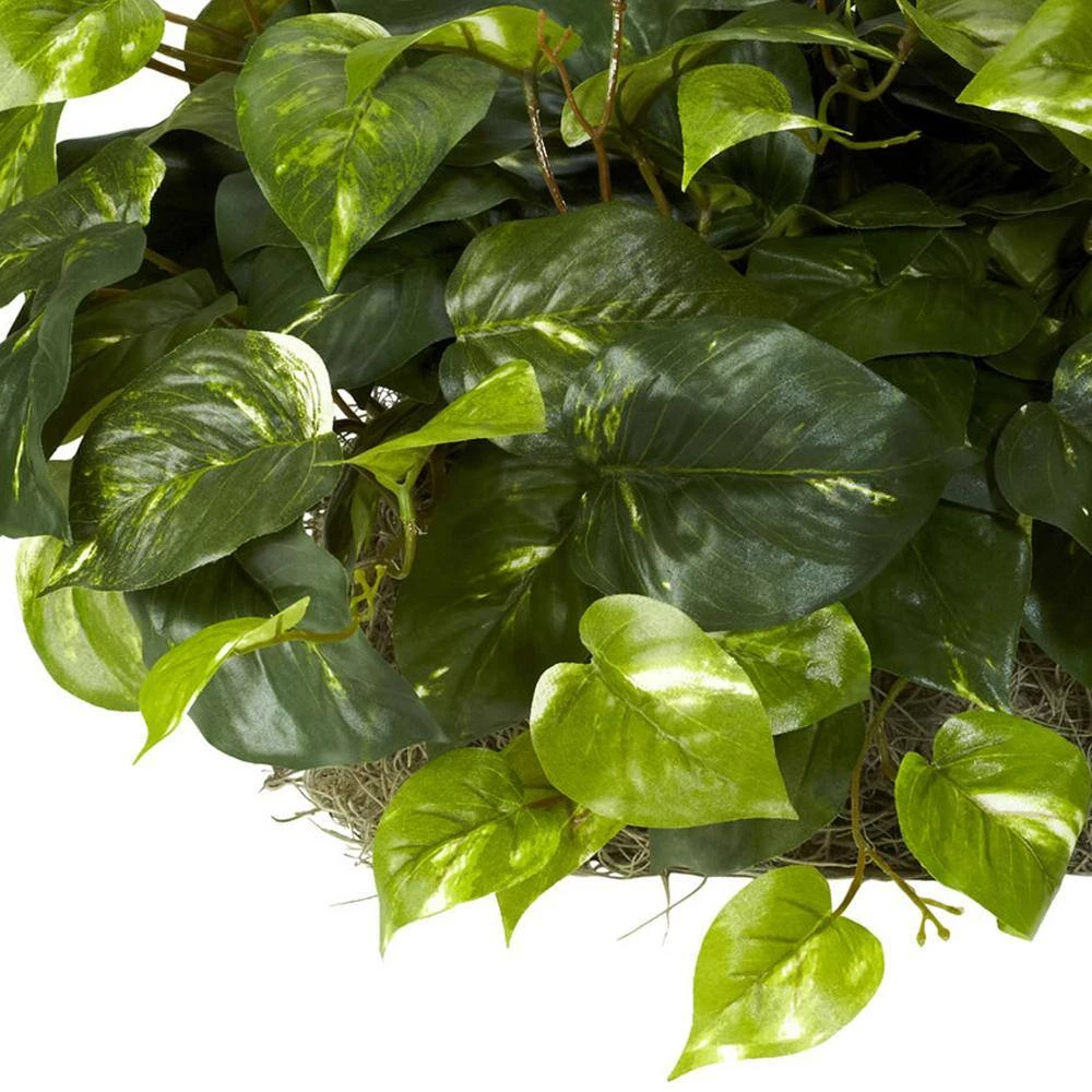 Indoor 15 In. H Artificial Green Pothos Ledge Plant (Set On Foam) Silk Plant 10 Indoor 15 In. H Artificial Green Pothos Ledge Plant (Set On Foam) Silk Plant - Image 8