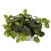 14 In. Artificial H Green Pothos With White Wash Planter Silk Plant -Artificial nearly natural artificial vines 6713 64 1000