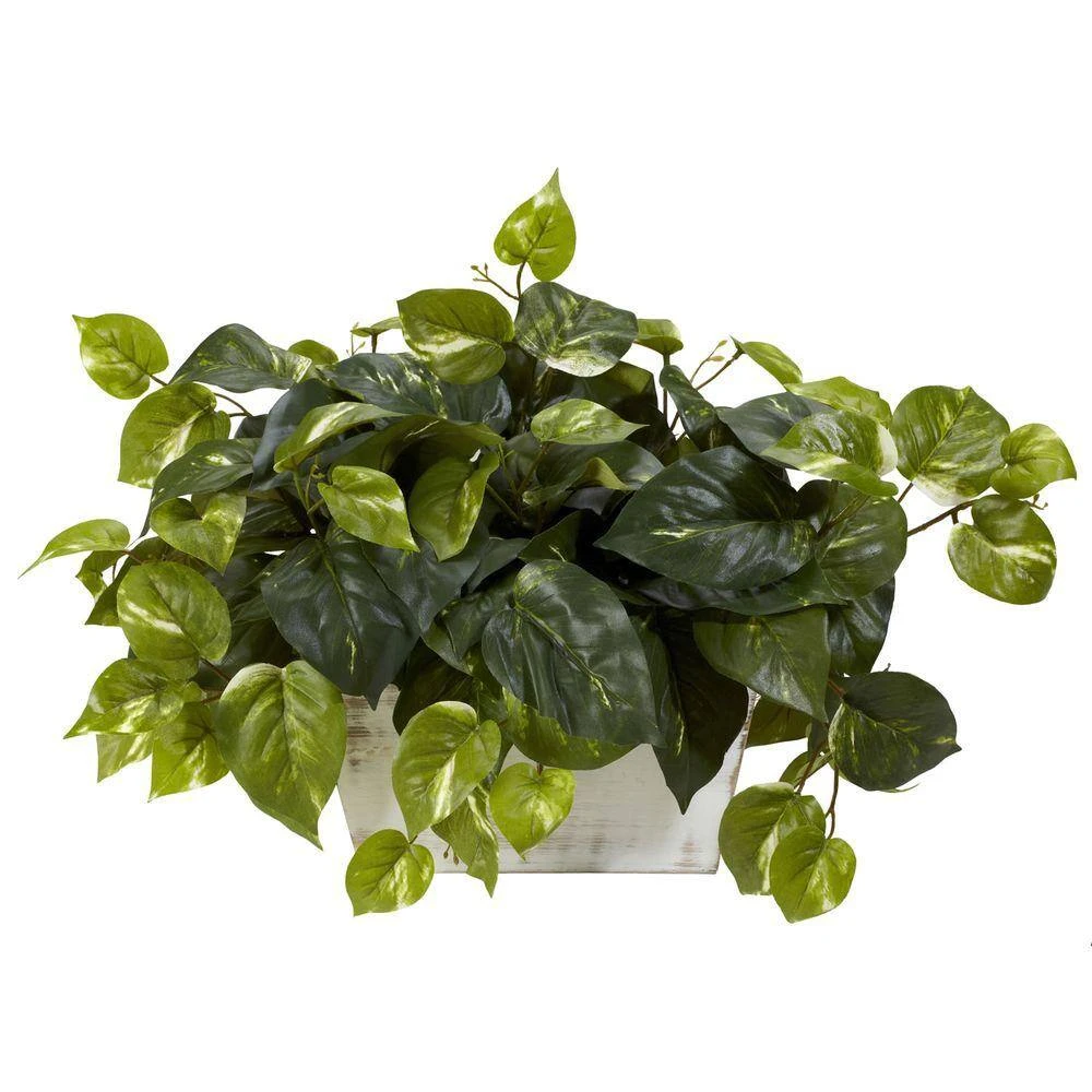 14 In. Artificial H Green Pothos With White Wash Planter Silk Plant 3 14 In. Artificial H Green Pothos With White Wash Planter Silk Plant