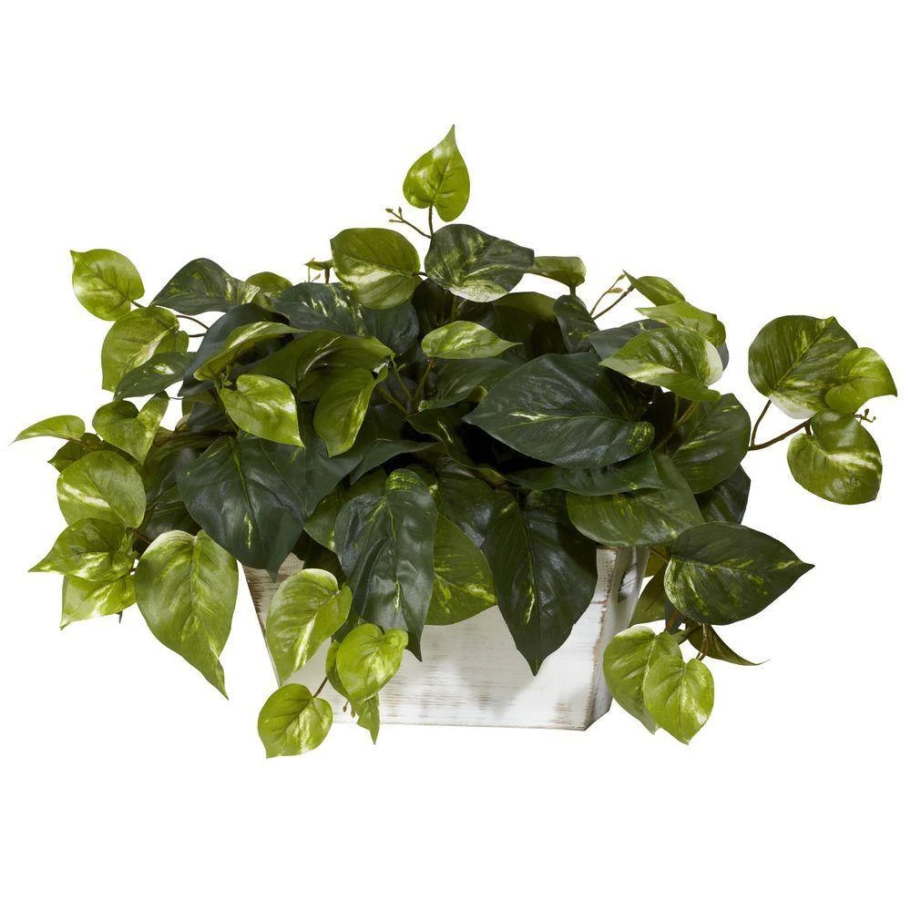 14 In. Artificial H Green Pothos With White Wash Planter Silk Plant 4 14 In. Artificial H Green Pothos With White Wash Planter Silk Plant - Image 2