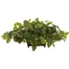 Artificial Pothos With Rectangle Decorative Planter 2 Artificial Pothos With Rectangle Decorative Planter -Artificial nearly natural artificial vines 6793 64 1000