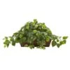 15 In. Artificial Pothos With Ledge Basket -Artificial nearly natural artificial vines 6818 64 1000