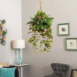 Indoor Mixed Pothos And Boston Artificial Fern In Hanging Basket 10 Indoor Mixed Pothos And Boston Artificial Fern In Hanging Basket -Artificial nearly natural artificial vines 6986 1f 1000