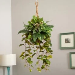 Indoor Mixed Pothos And Boston Artificial Fern In Hanging Basket 11 Indoor Mixed Pothos And Boston Artificial Fern In Hanging Basket -Artificial nearly natural artificial vines 6986 31 1000