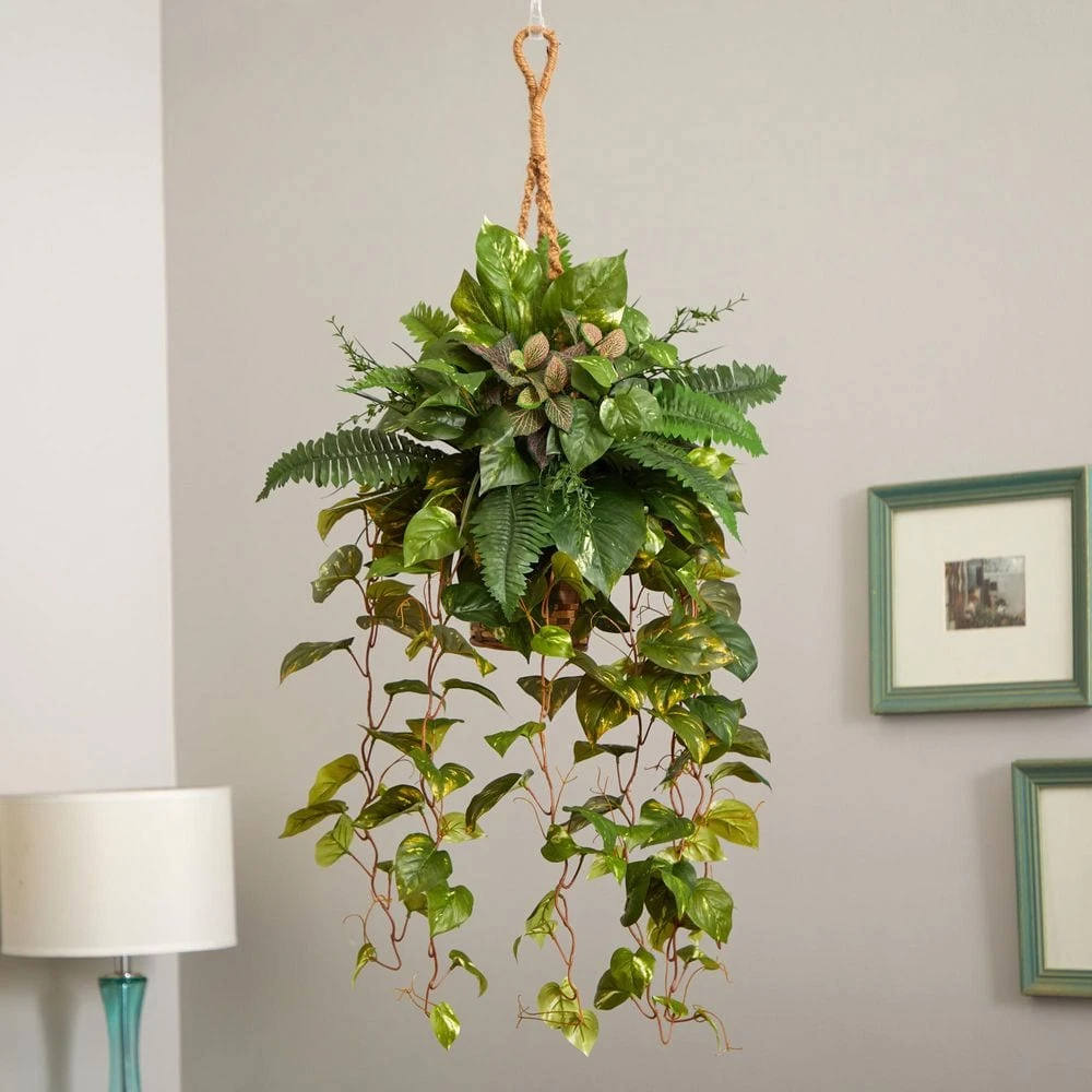 Indoor Mixed Pothos And Boston Artificial Fern In Hanging Basket 7 Indoor Mixed Pothos And Boston Artificial Fern In Hanging Basket - Image 5