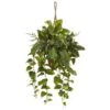 Indoor Mixed Pothos And Boston Artificial Fern In Hanging Basket 2 Indoor Mixed Pothos And Boston Artificial Fern In Hanging Basket -Artificial nearly natural artificial vines 6986 64 1000